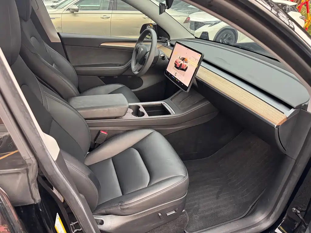 Tesla Model Y — миниатюра 15