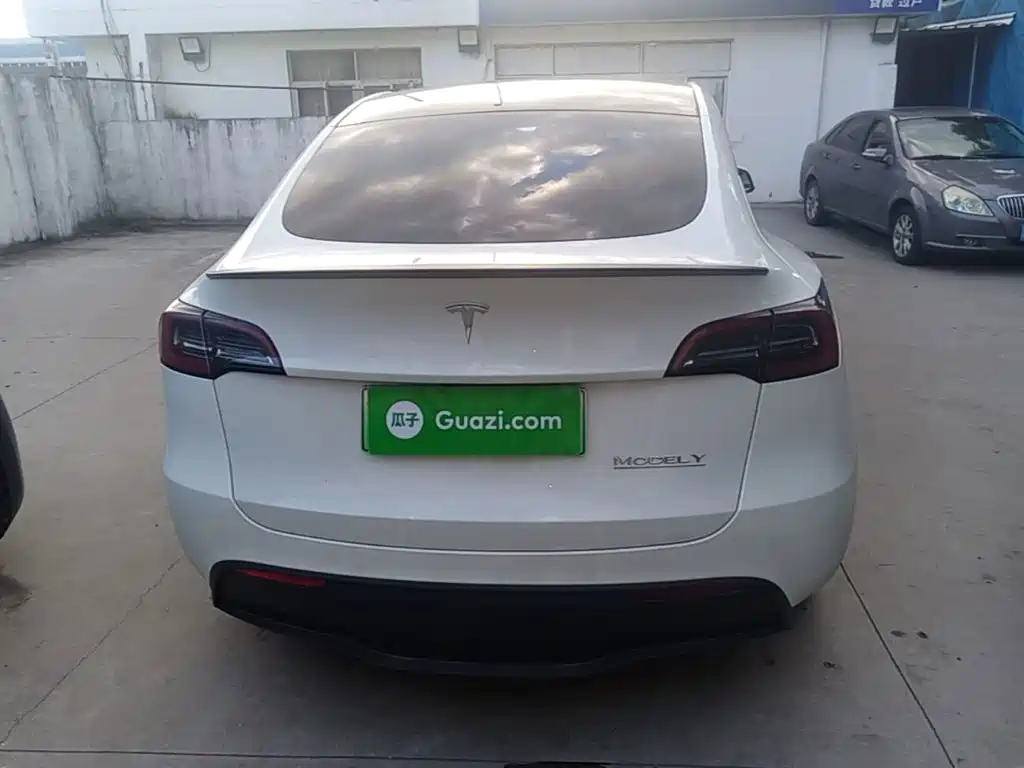 Tesla Model Y — миниатюра 6