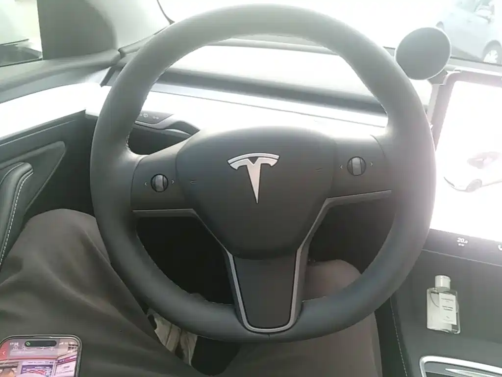 Tesla Model Y — миниатюра 11