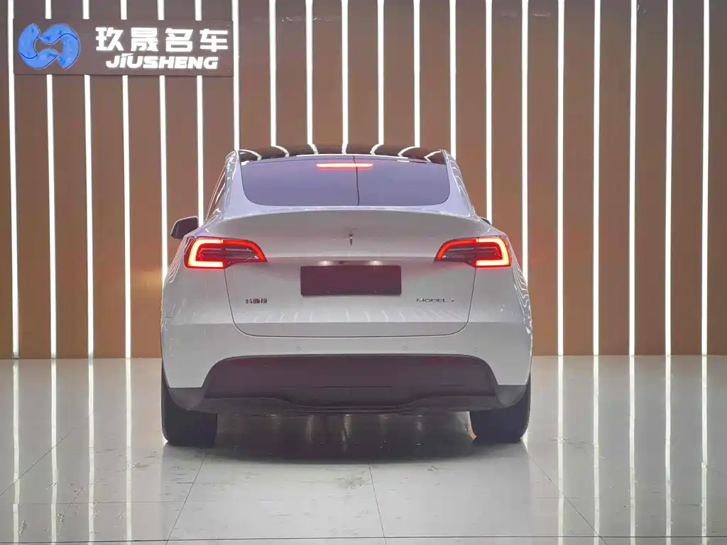 Tesla Model Y — миниатюра 6