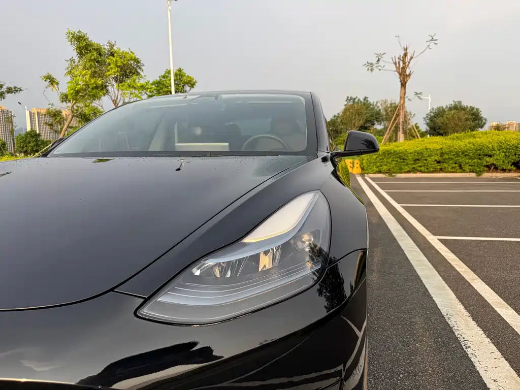 Tesla Model 3 — миниатюра 35