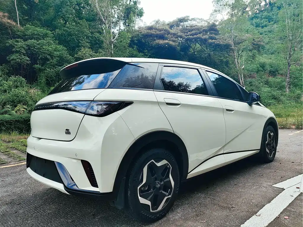 BYD Dolphin — миниатюра 9