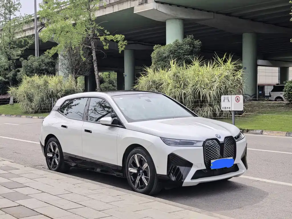 BMW iX — миниатюра 3