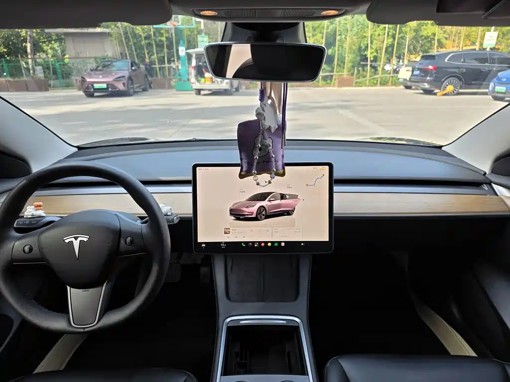 Tesla Model 3 — миниатюра 13