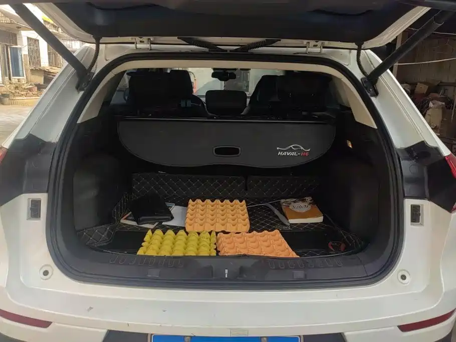Haval H6 — миниатюра 4
