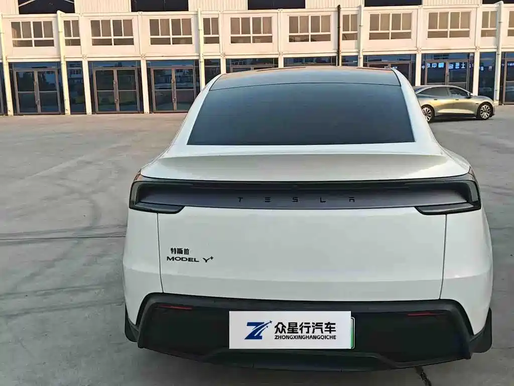Tesla Model Y — миниатюра 7