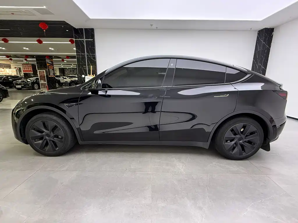Tesla Model Y — миниатюра 5