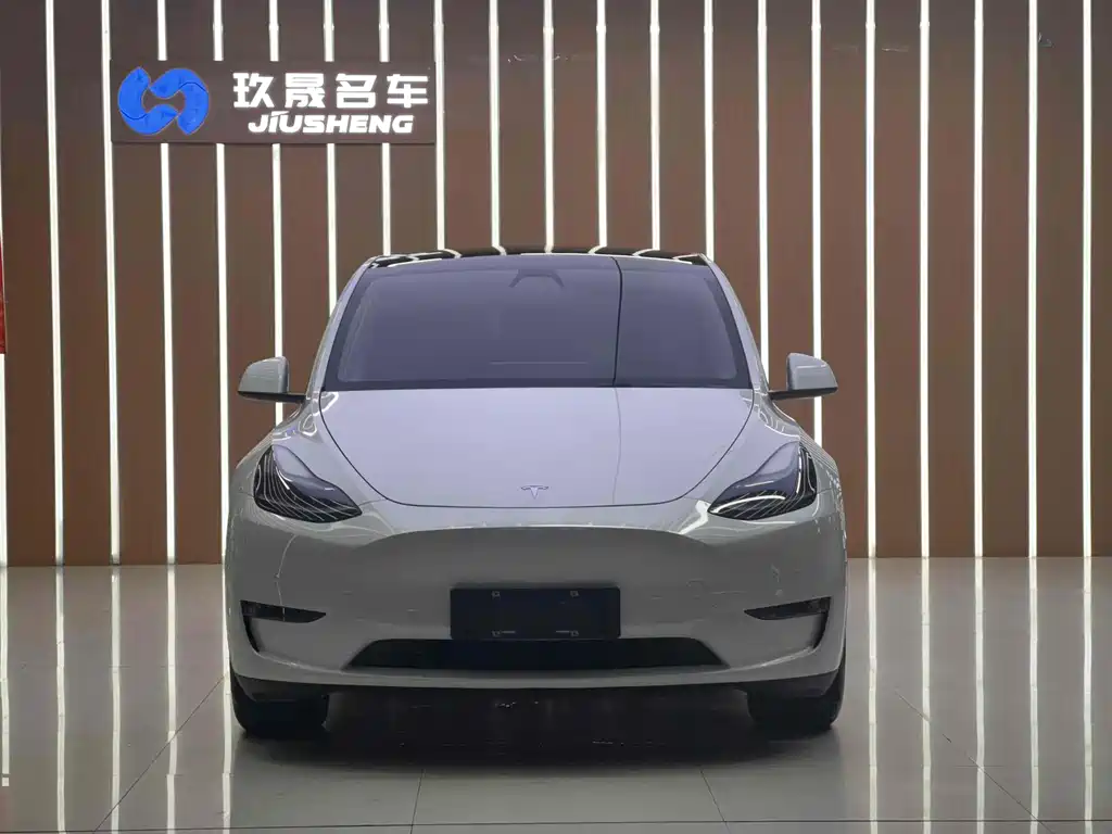 Tesla Model Y — миниатюра 2