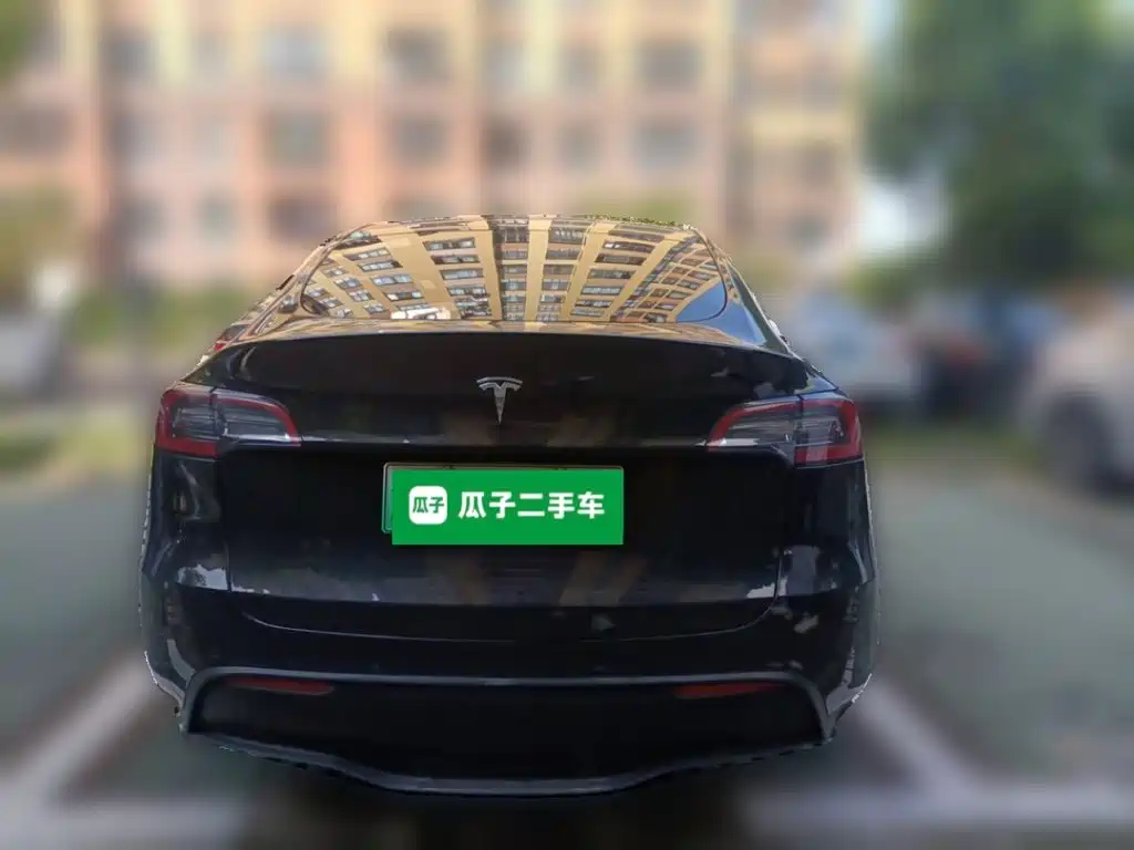 Tesla Model Y — миниатюра 5