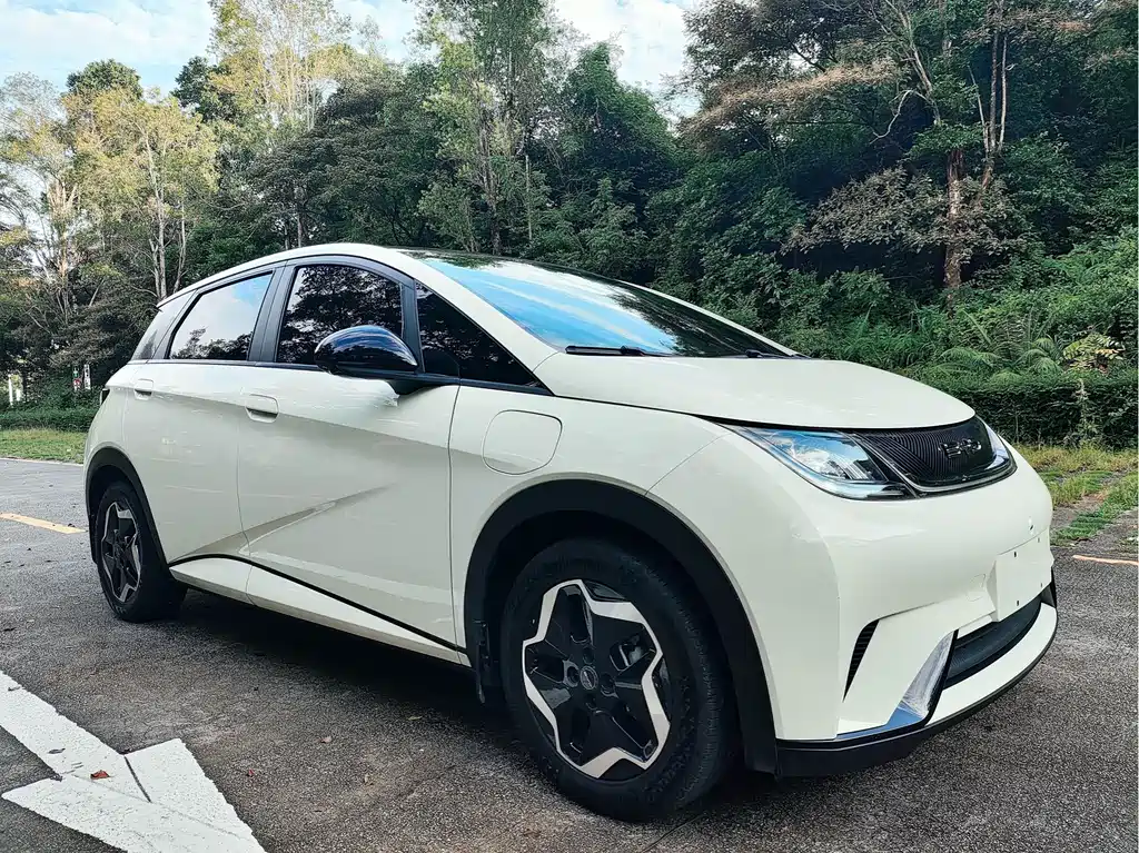 BYD Dolphin — миниатюра 3