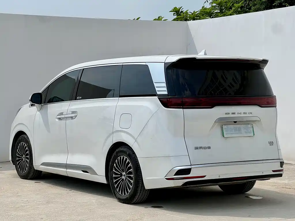 Denza Denza D9 — миниатюра 17