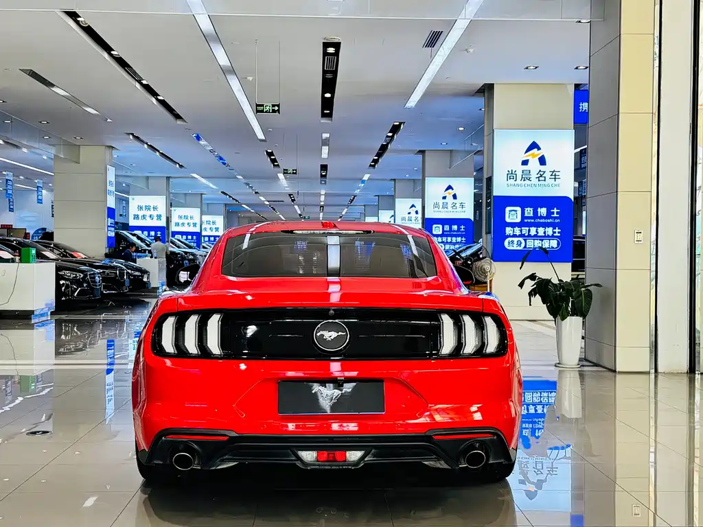 Ford Mustang — миниатюра 16