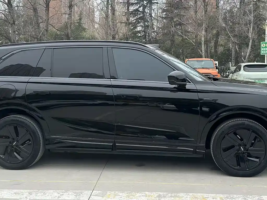 WEI PAI WEI BRAND BLUE MOUNTAIN