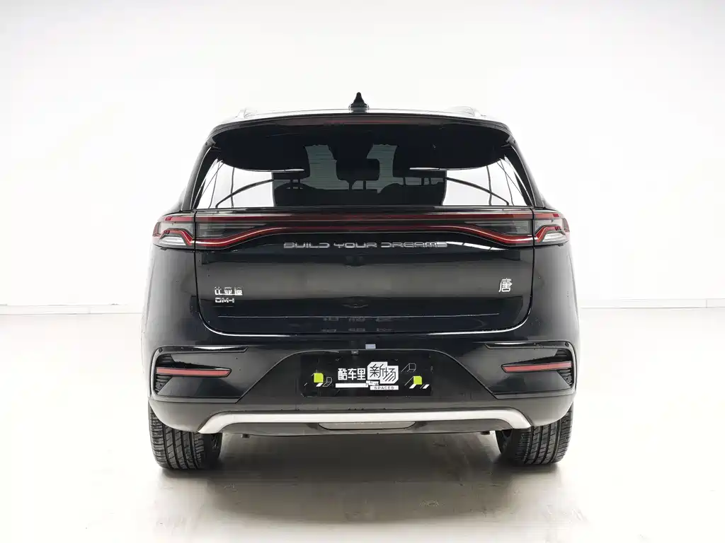 BYD Tang New Energy — миниатюра 5
