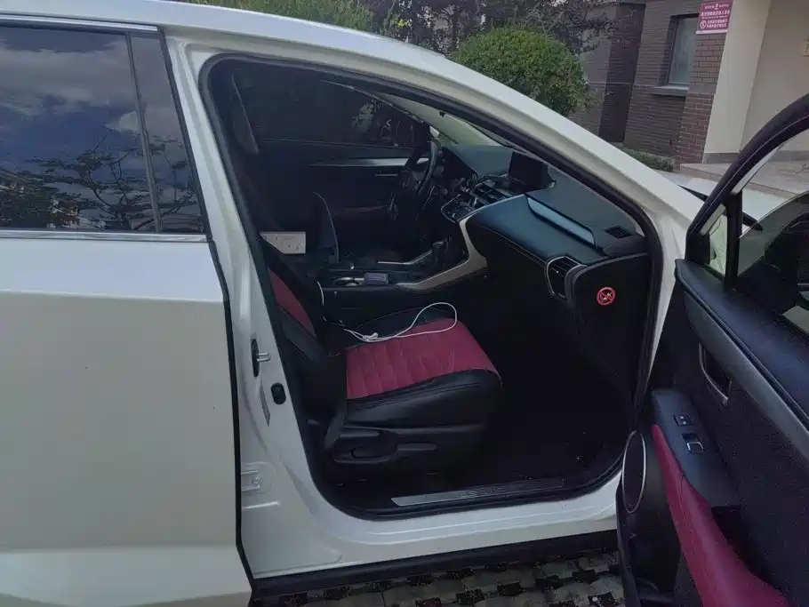 Lexus NX — миниатюра 8