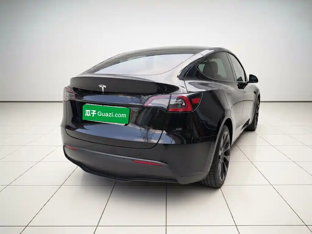 Tesla Model Y — миниатюра 6