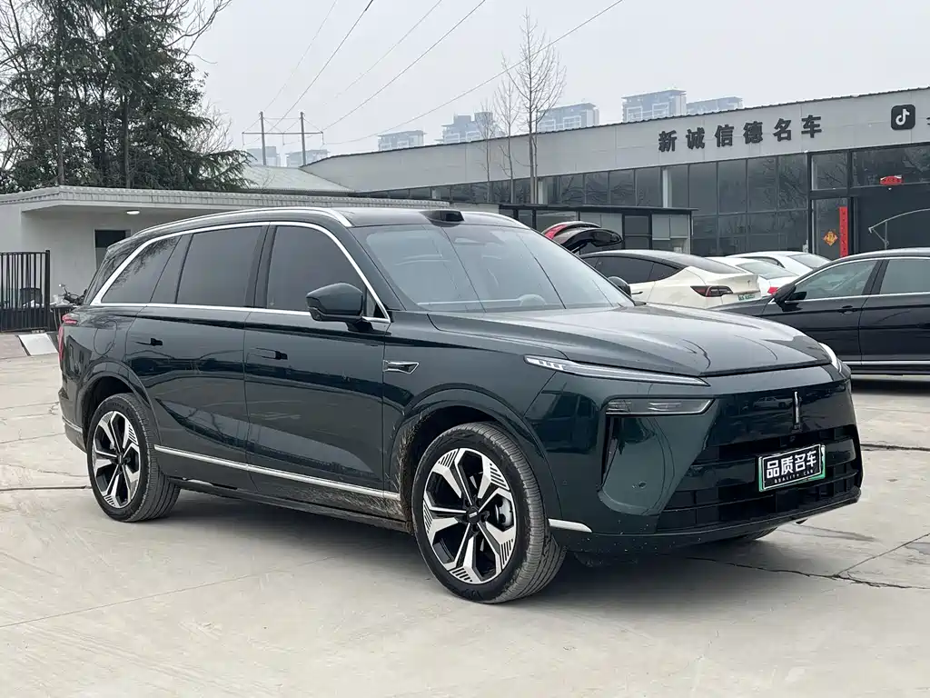 WEI PAI WEI BRAND BLUE MOUNTAIN