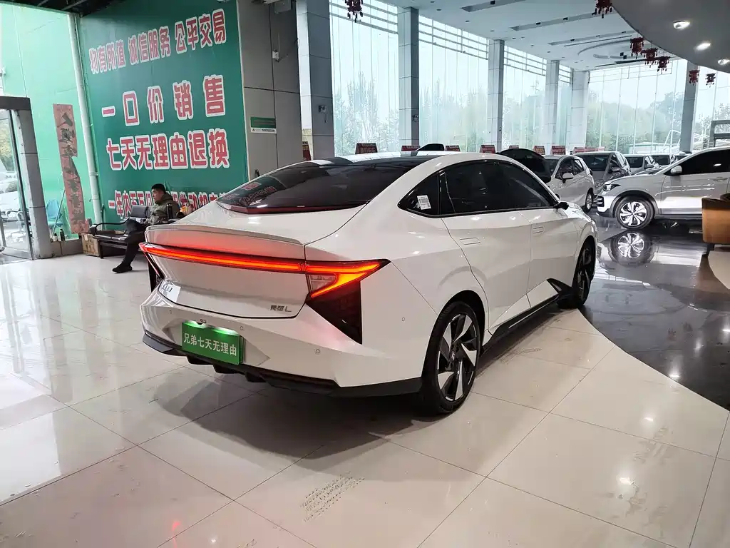 Lingxi Lingxi L — миниатюра 12