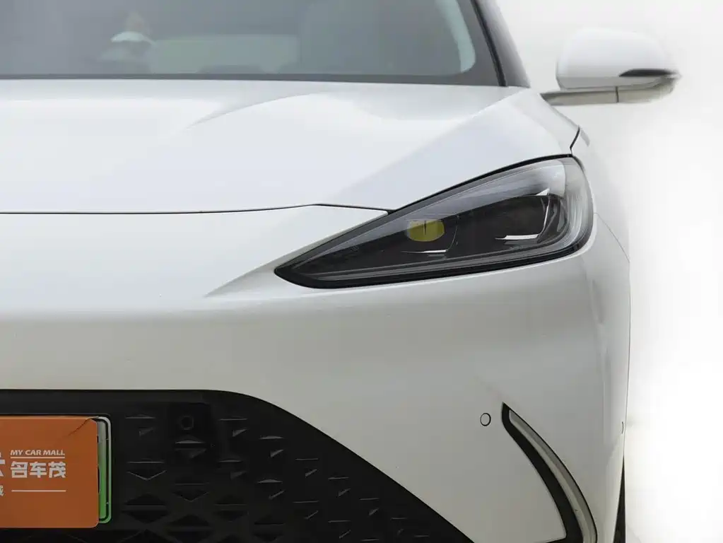 ARCFOX EXTREME FOX POLAR FOX ALPHA S