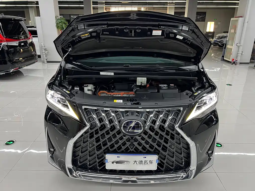 Lexus LM — миниатюра 27