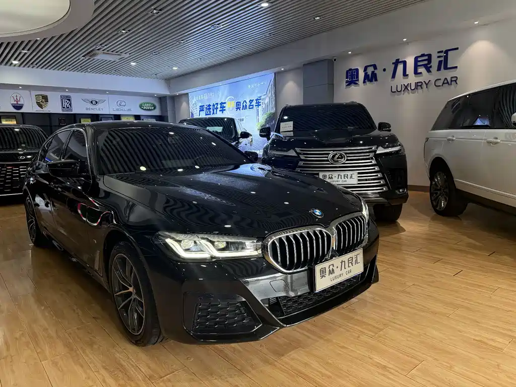 BMW 5 Series — миниатюра 3