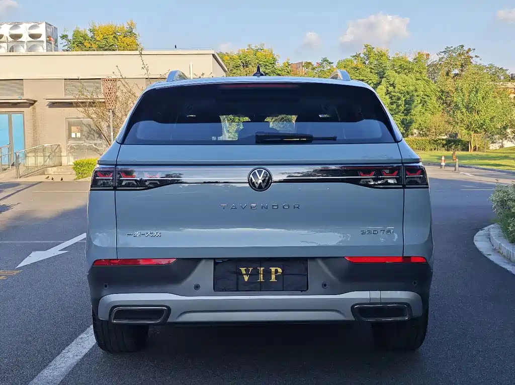Volkswagen Tavendor — миниатюра 16