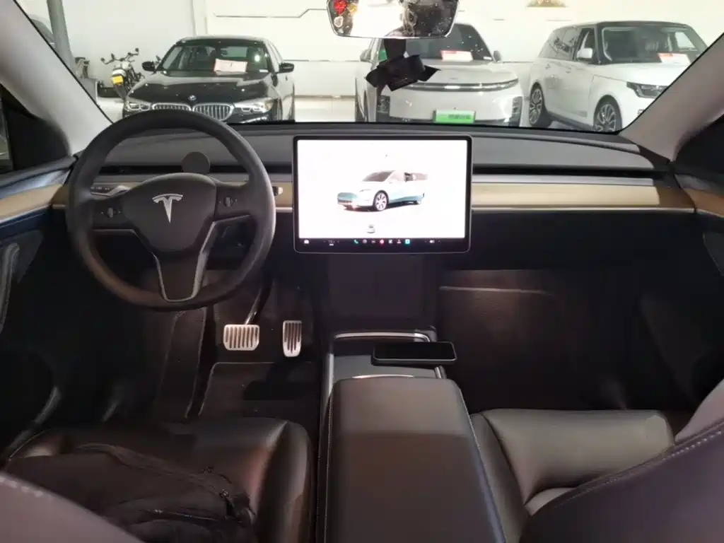 Tesla Model Y — миниатюра 10
