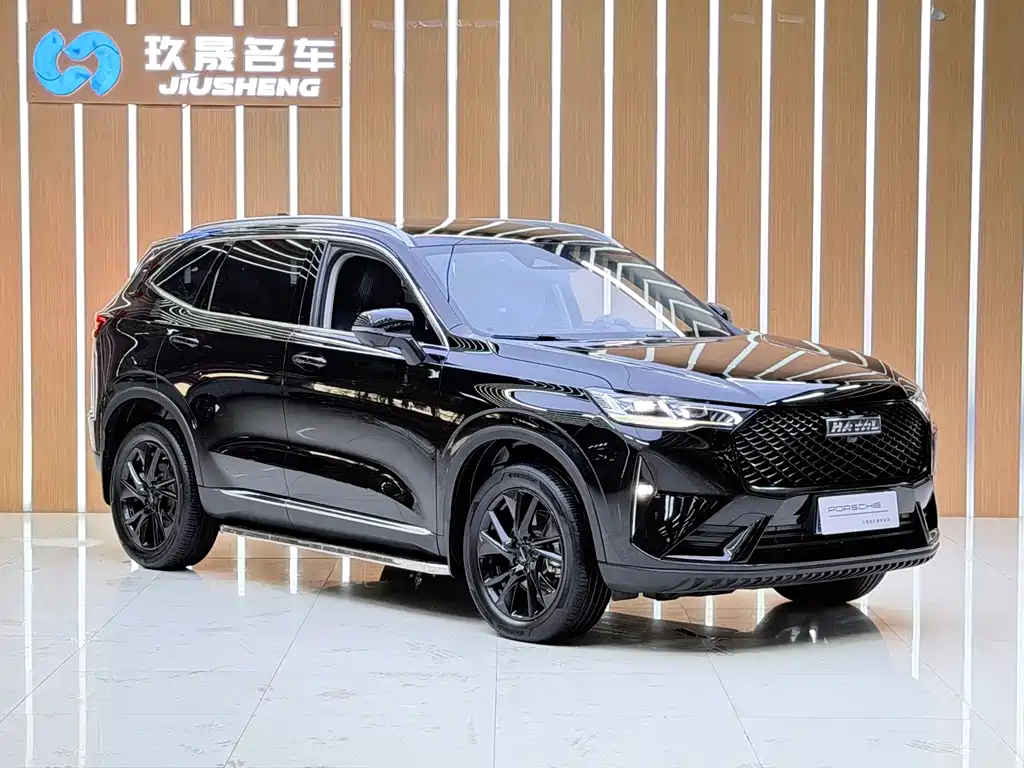 Haval H6 — миниатюра 3