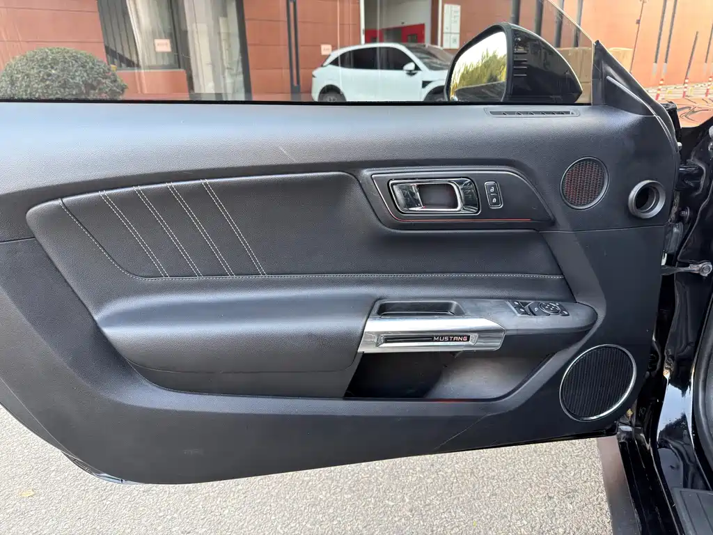 Ford Mustang — миниатюра 14