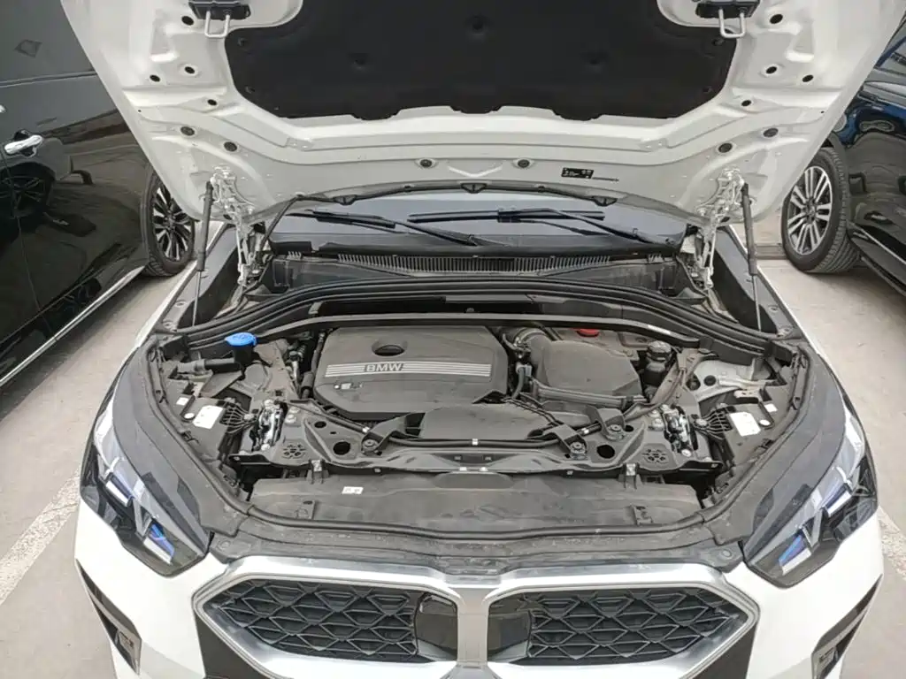 BMW X2 (Import) — миниатюра 20