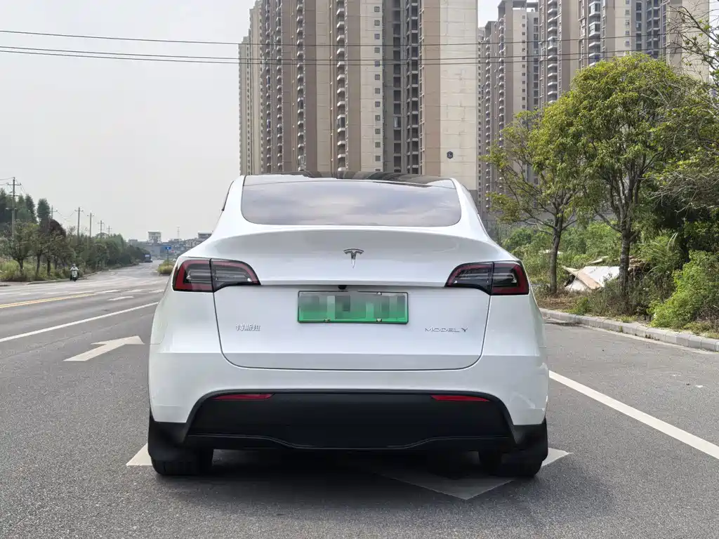 Tesla Model Y — миниатюра 6