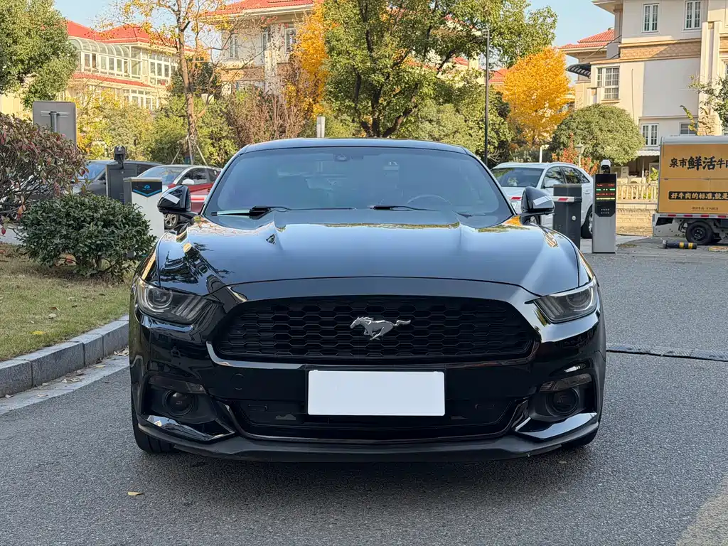 Ford Mustang — миниатюра 2
