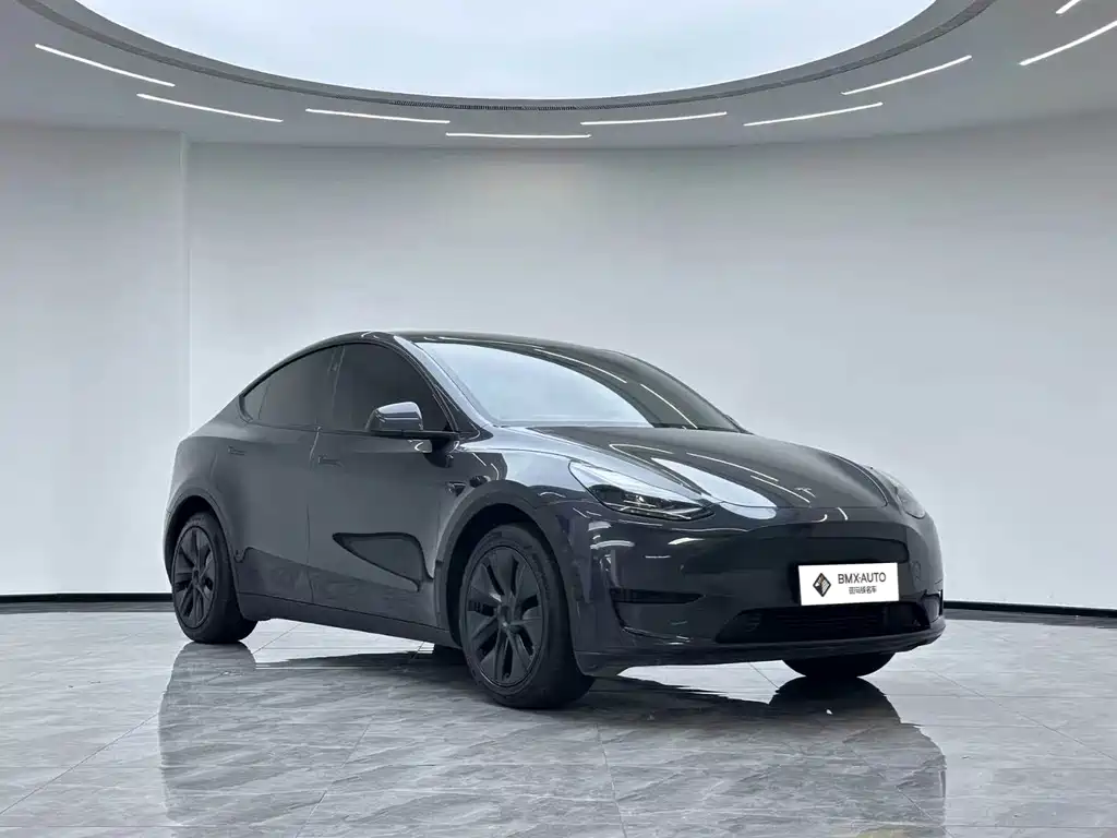 Tesla Model Y — миниатюра 7