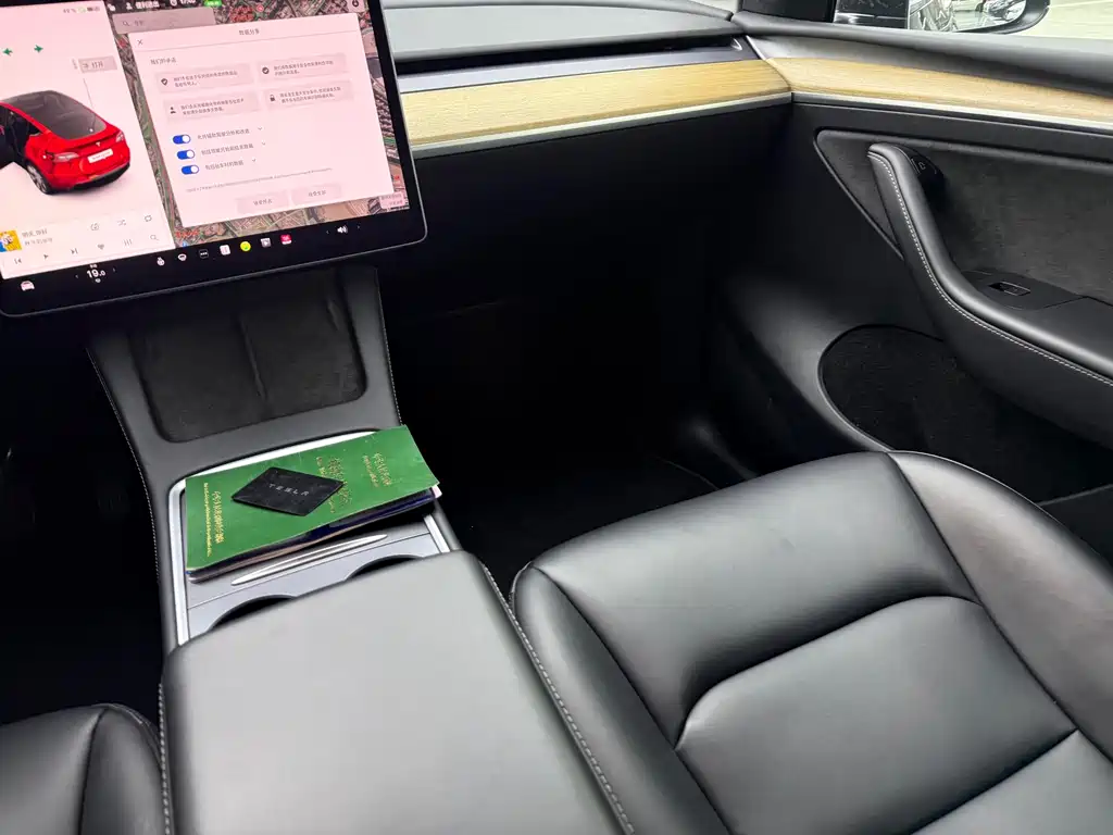 Tesla Model Y — миниатюра 15