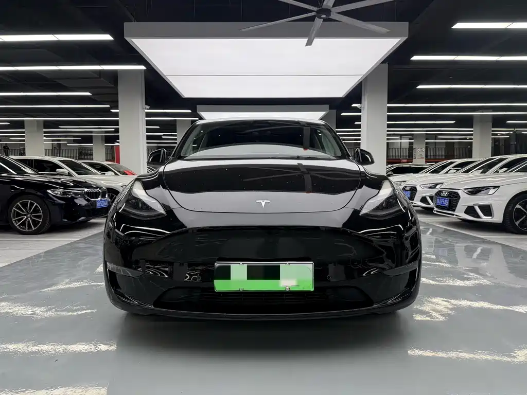 Tesla Model Y — миниатюра 2
