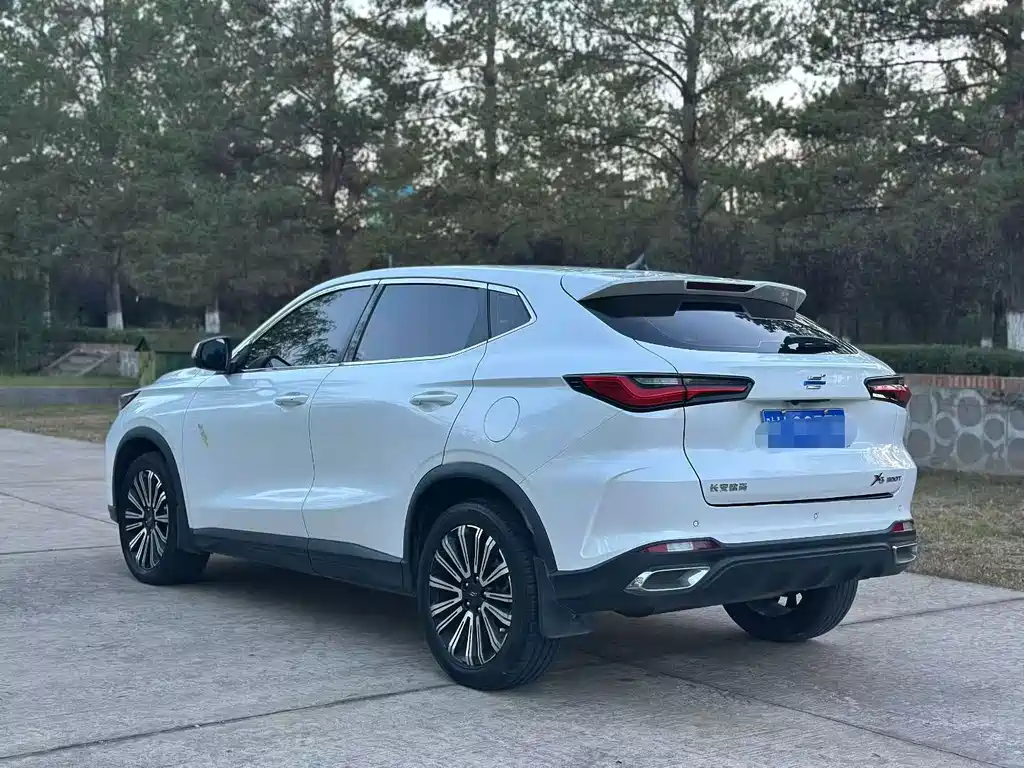 Oshan Oushang X5 — миниатюра 4