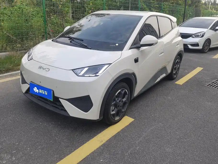 BYD Seagull