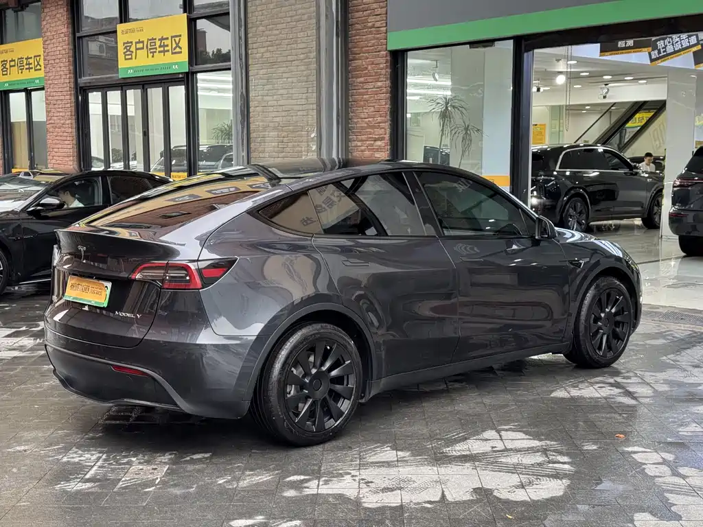 Tesla Model Y — миниатюра 7