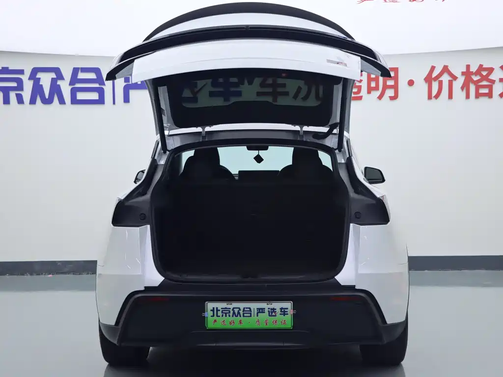Tesla Model Y — миниатюра 20