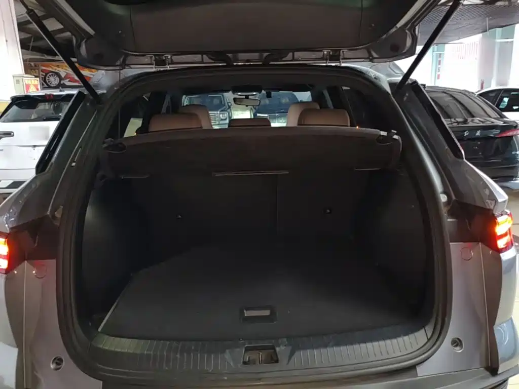 BYD Pro New Energy — миниатюра 19