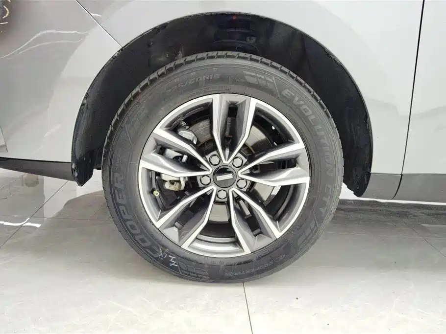 WEI PAI WEI BRAND VV5