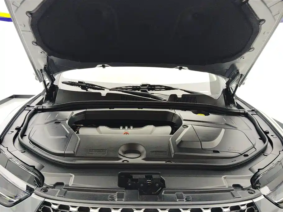 WEI PAI WEI BRAND VV5