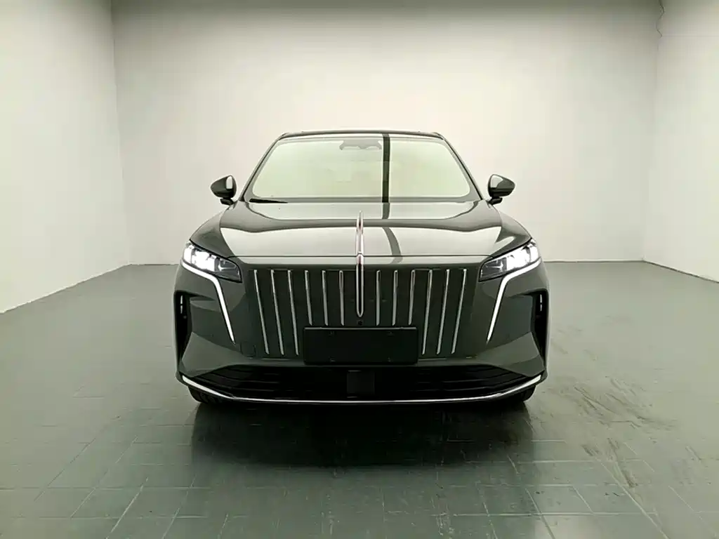 Hongqi Hongqi HS6 PHEV — миниатюра 2