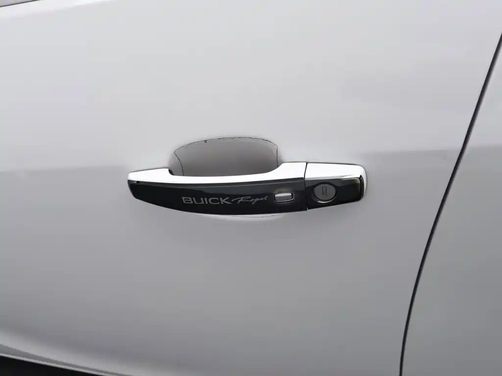 Buick Regal — миниатюра 18