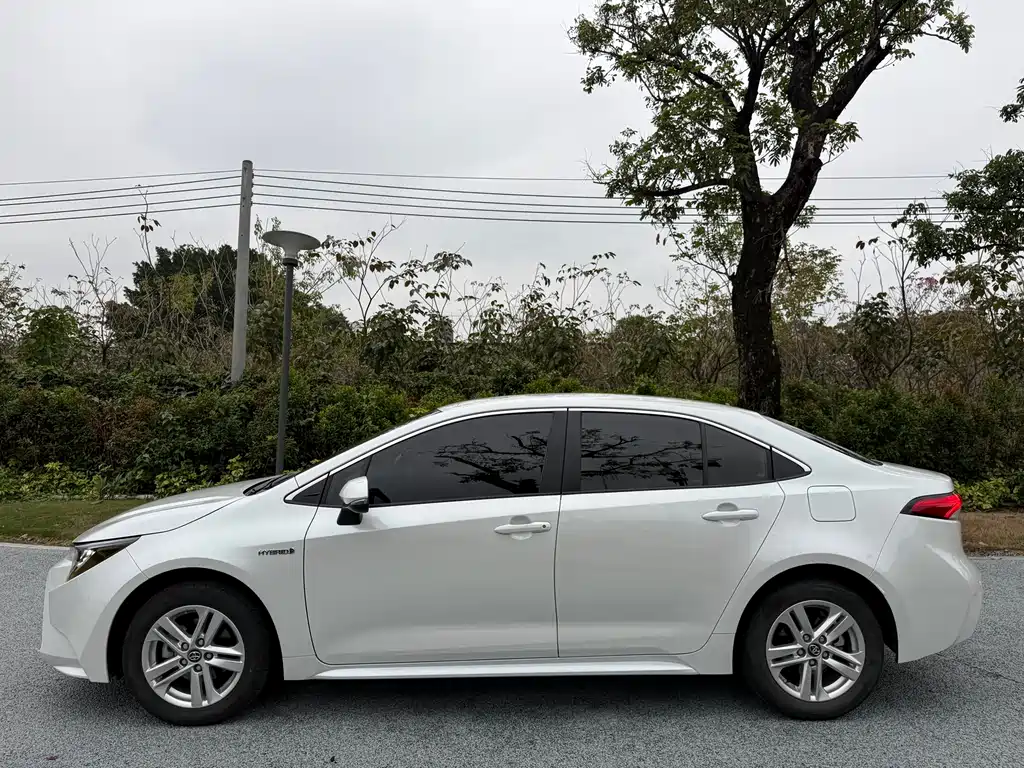 TOYOTA LEI LING