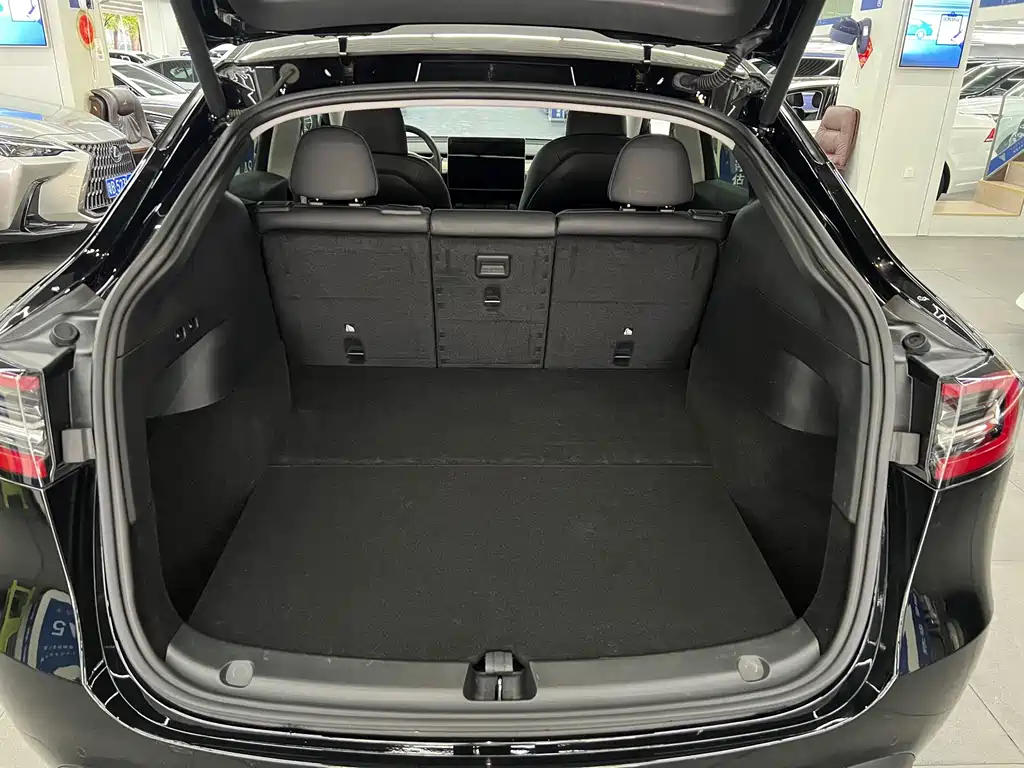 Tesla Model Y — миниатюра 11