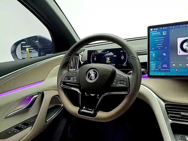 BYD Pro New Energy — миниатюра 11
