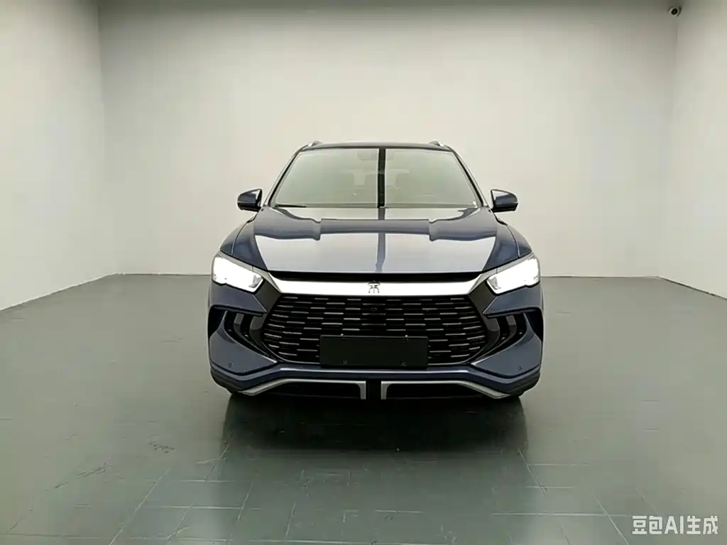 BYD Pro New Energy — миниатюра 2