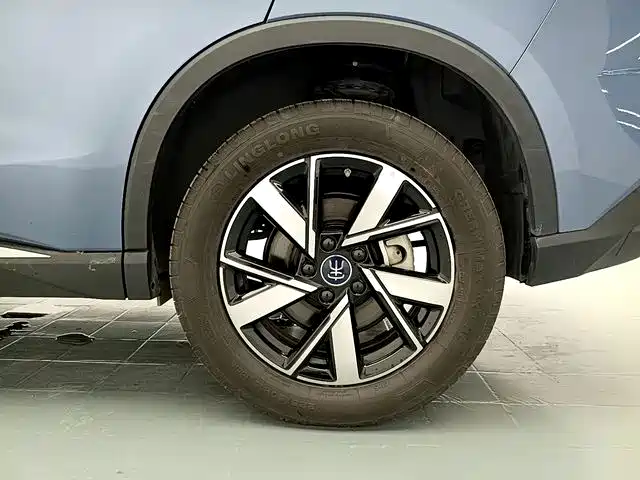BYD Pro New Energy — миниатюра 17