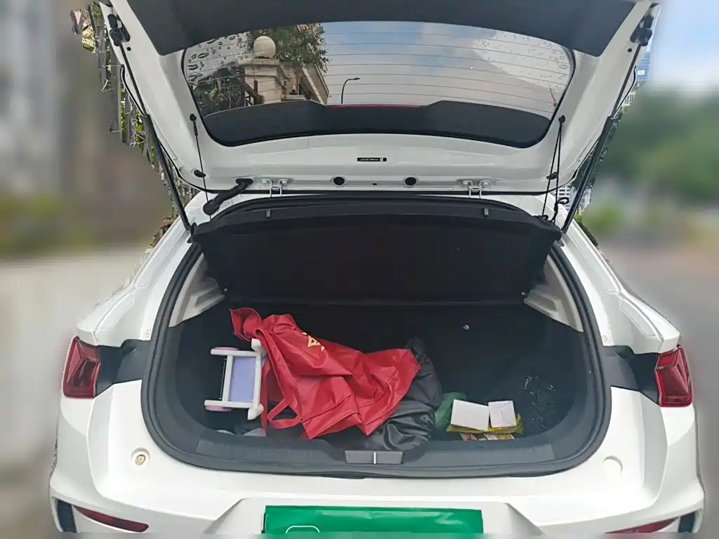 BYD e2 — миниатюра 10